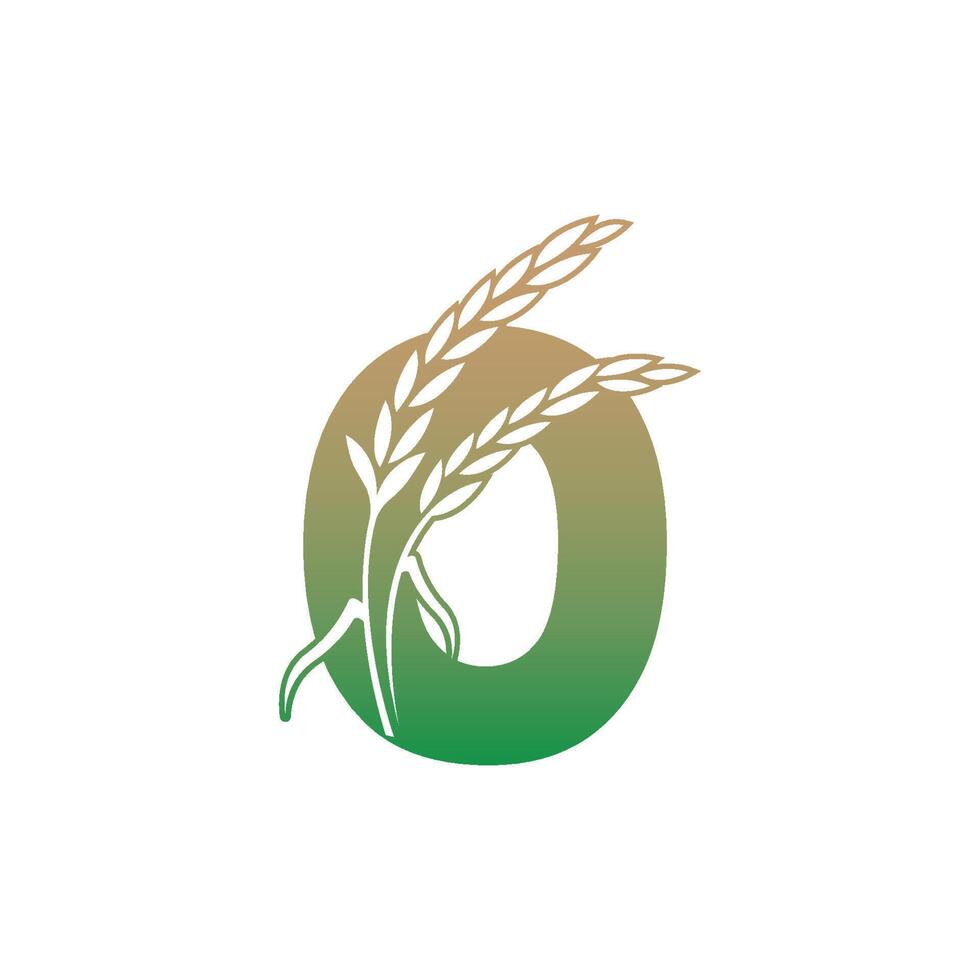 lettre o avec modèle d'illustration d'icône de plante de riz vecteur