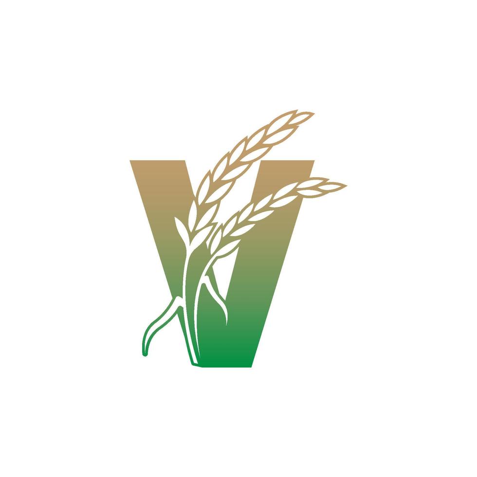 lettre v avec modèle d'illustration d'icône de plante de riz vecteur
