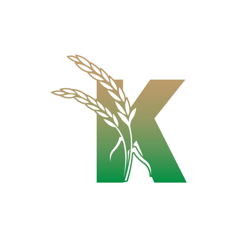 lettre k avec modèle d'illustration d'icône de plante de riz vecteur