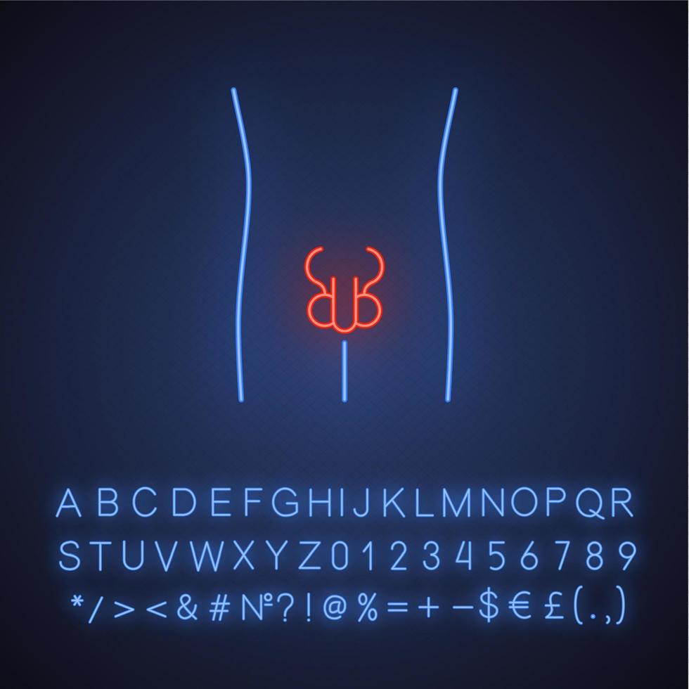 icône de lumière néon du système reproducteur des hommes en bonne santé. organe humain en bonne santé. la santé des hommes sains. signe lumineux avec alphabet, chiffres et symboles. illustration vectorielle isolée vecteur