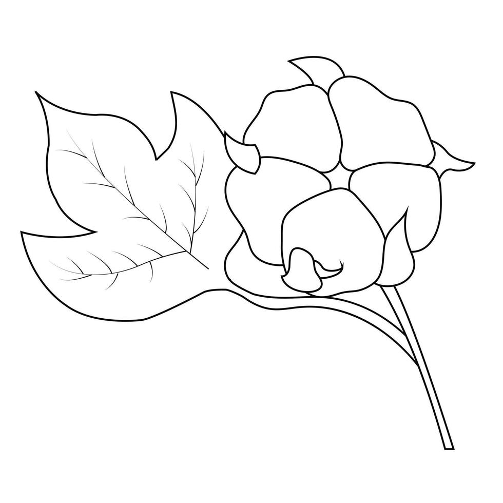 logo de la plante de coton. herbe de mariage dessinée à la main avec des feuilles élégantes. vecteur