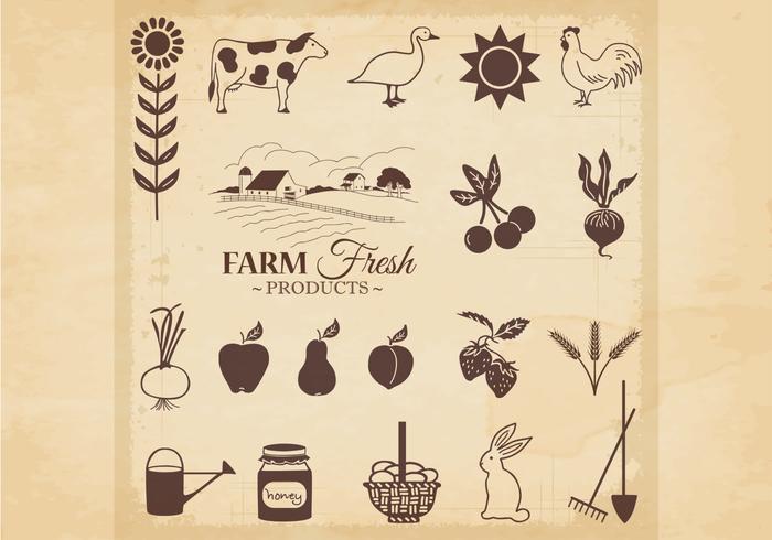 Vecteur De Produits Frais De La Ferme