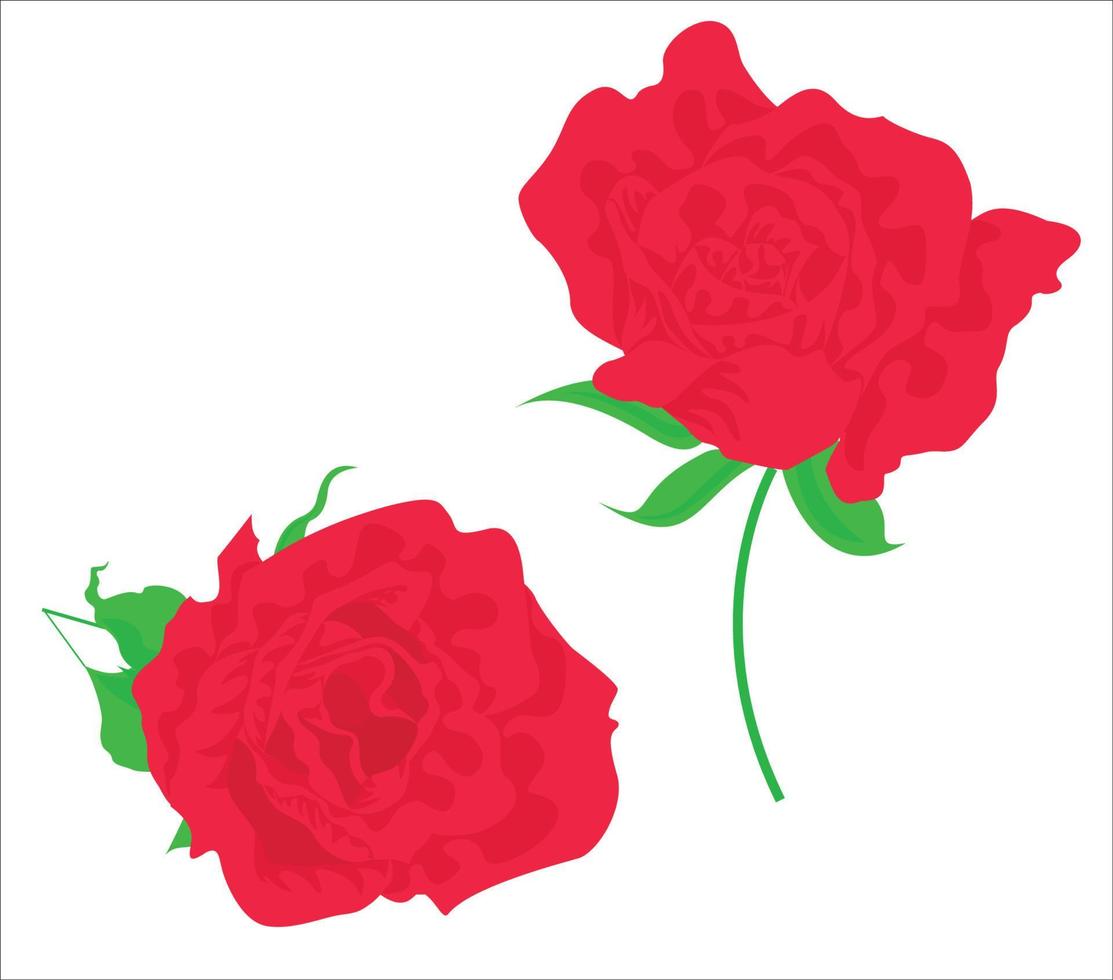 belles roses, utilisées dans des applications générales vecteur