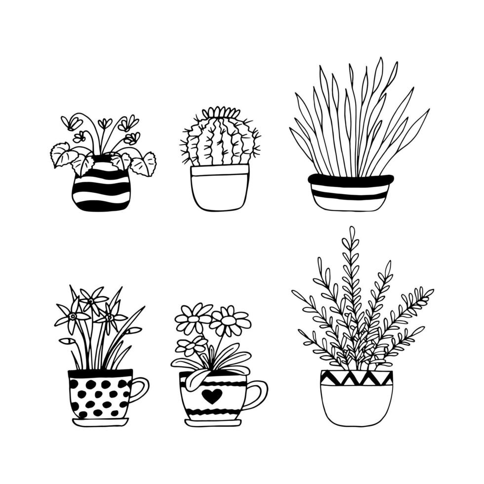 les plantes d'intérieur en pots définissent l'icône dessinée à la main. , minimalisme, scandinave, monochrome, fleurs de plantes autocollant nordique vecteur