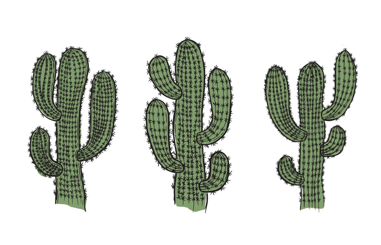 cactus illustration dessinée à la main, vecteur. vecteur