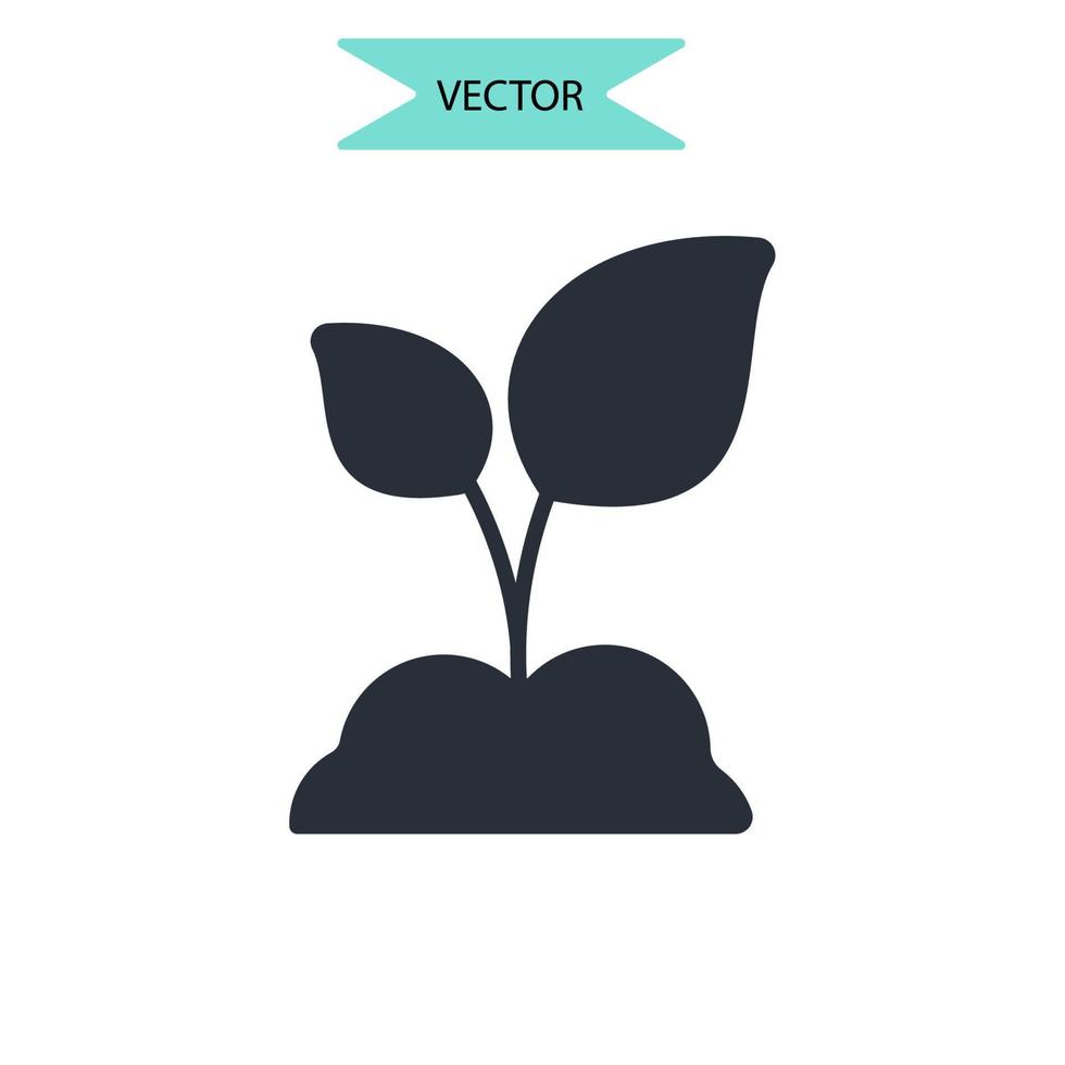 icônes de phytothérapie symboles éléments vectoriels pour le web infographique vecteur