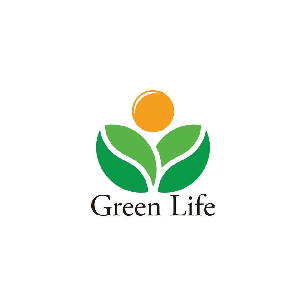 feuille verte soleil plantation symbole logo vecteur