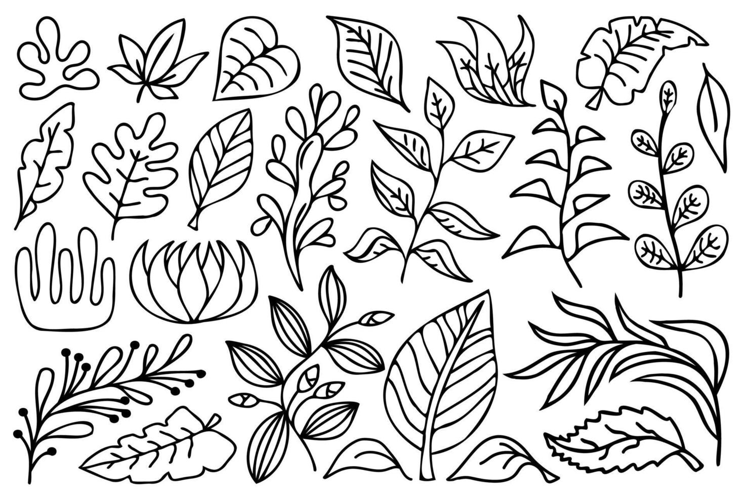 éléments de conception botanique de contour noir. fleurs, branches et feuilles d'art en ligne, ensemble d'illustrations vectorielles en noir et blanc. vecteur