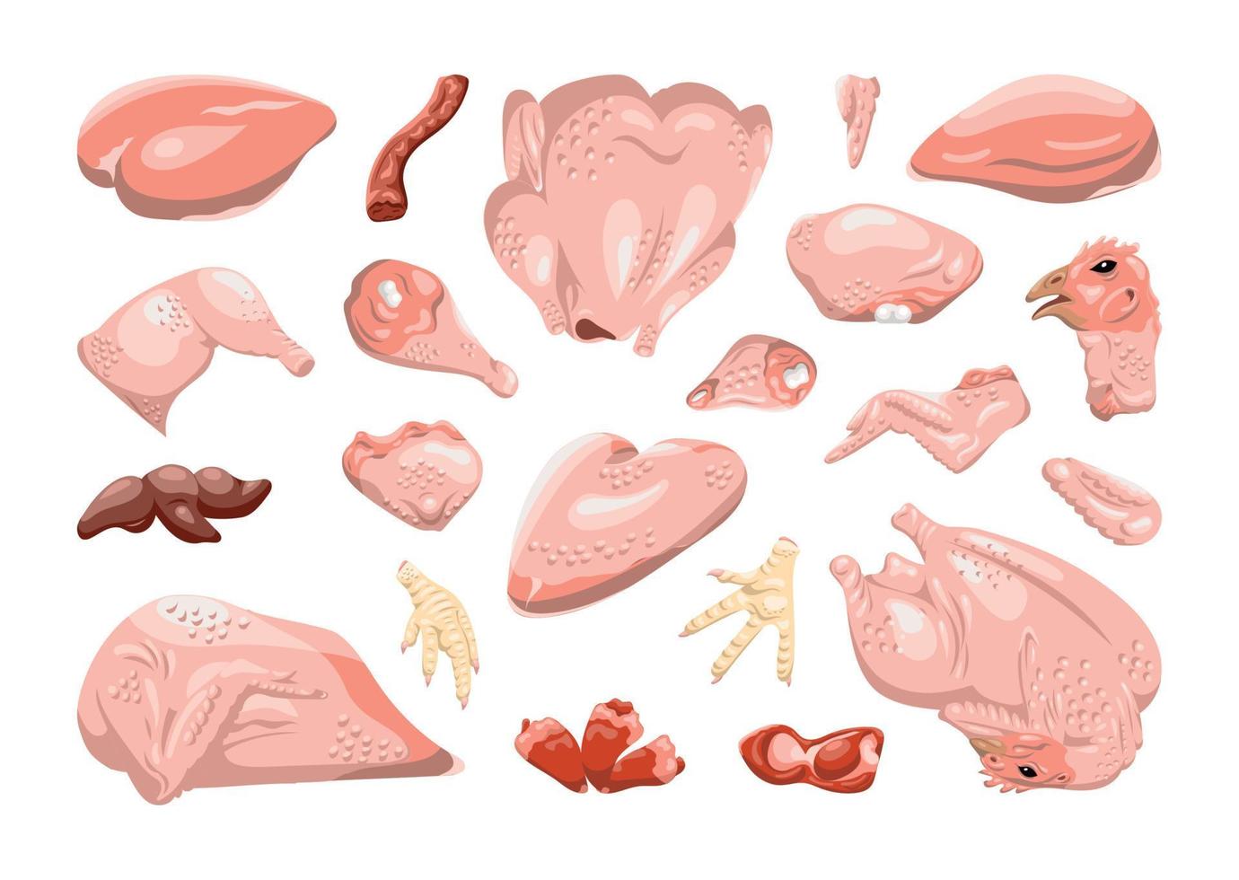 ensemble de pièces de poulet dans un style réaliste vecteur