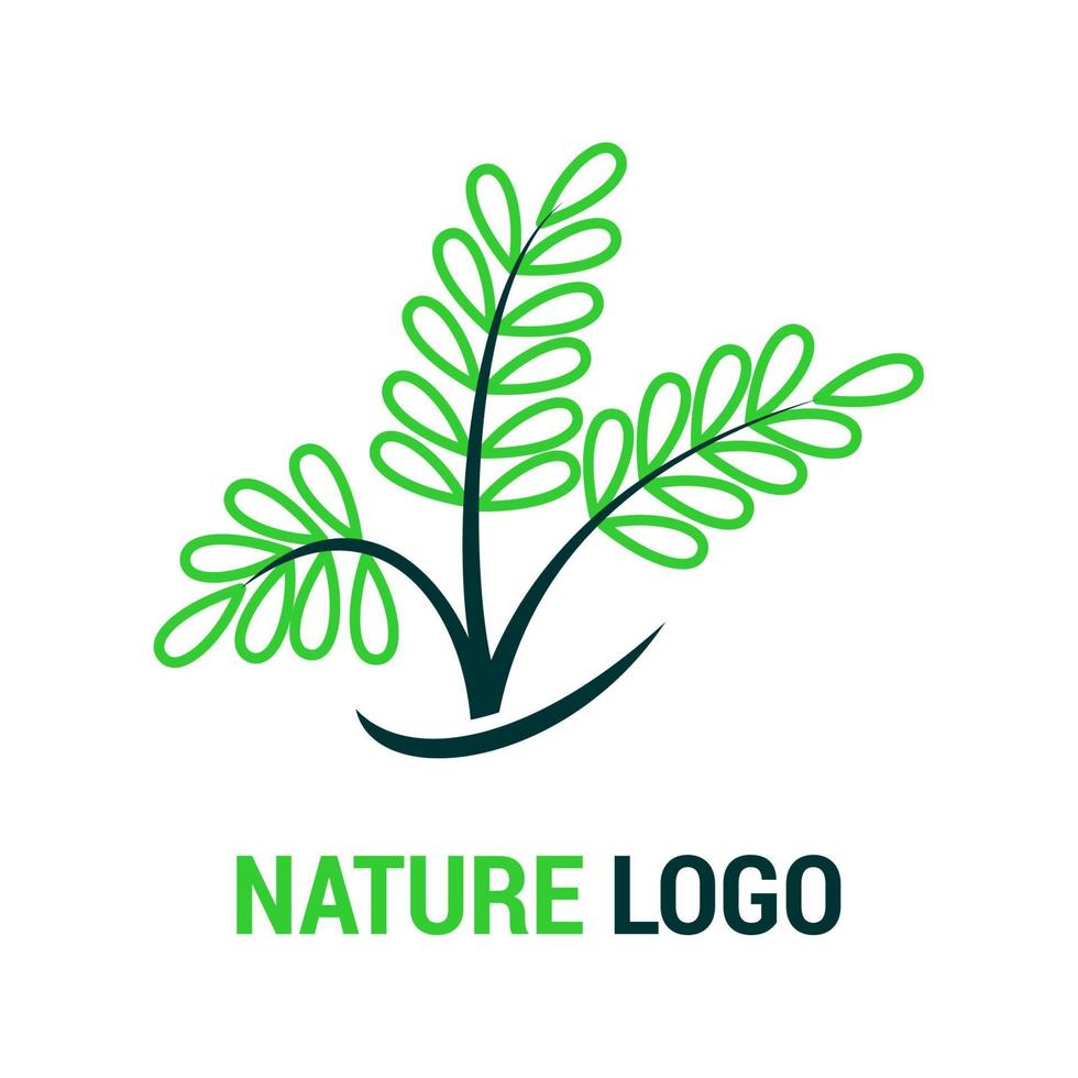 logo nature, flore, végétarien, bio botani, concept de feuille vecteur