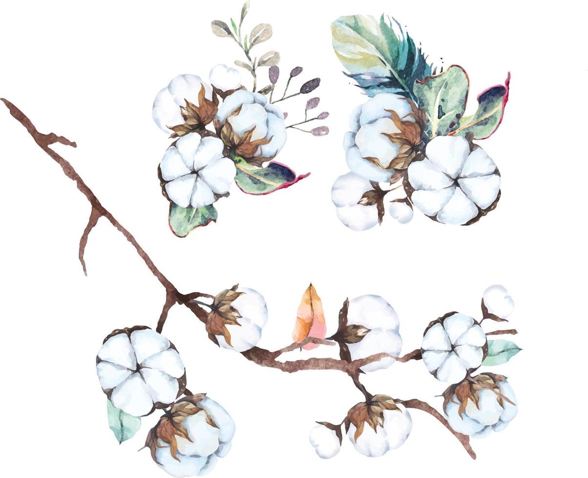 fleurs de coton aquarelle 5 vecteur