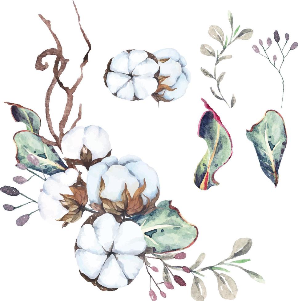 fleurs de coton aquarelle 9 vecteur