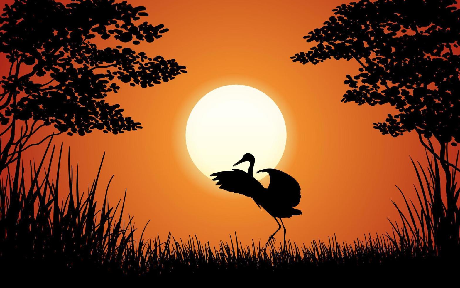silhouette d'oiseaux sur fond de nature coucher de soleil rouge vecteur