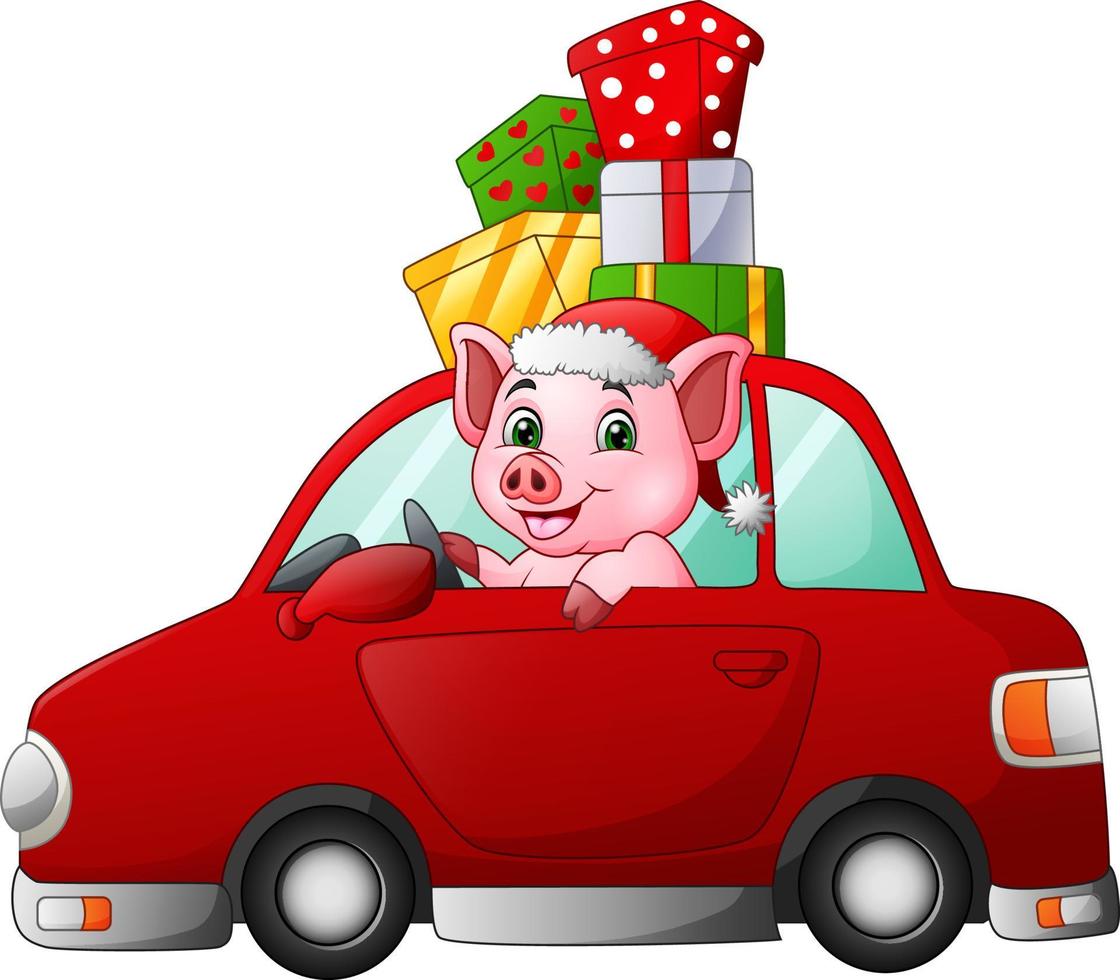 cochon de dessin animé conduisant une voiture portant un cadeau vecteur