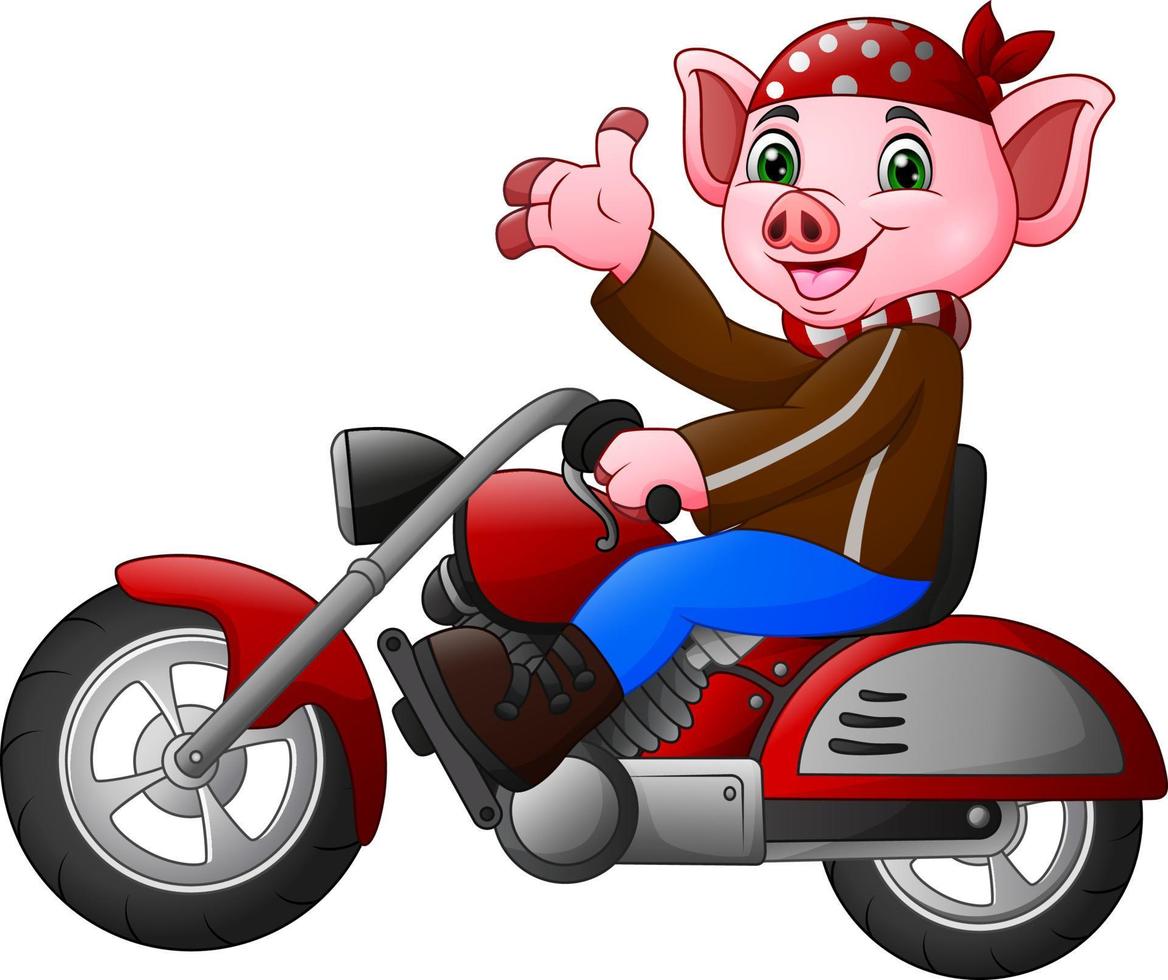 cochon drôle de dessin animé sur une moto vecteur