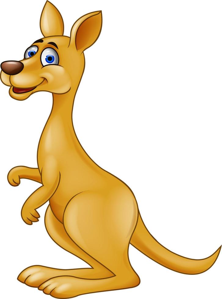 dessin animé heureux de kangourou vecteur
