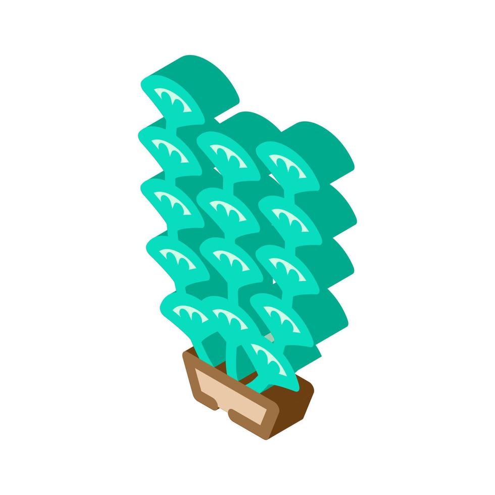 aquarium algues algues icône isométrique illustration vectorielle vecteur