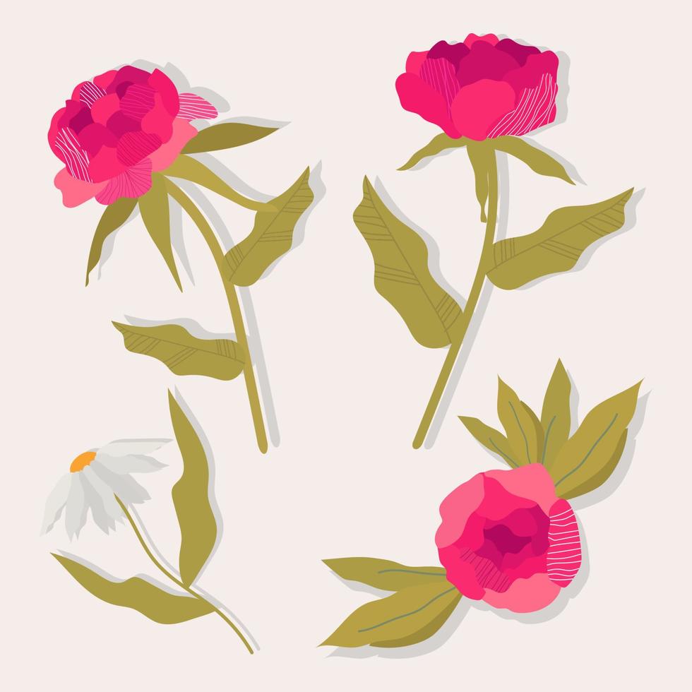 un ensemble de couleurs vectorielles. élégantes pivoines féminines et camomille. une variété de botanique de jardin pour la conception Web, les applications, les motifs et les logos. illustrations modernes. vecteur