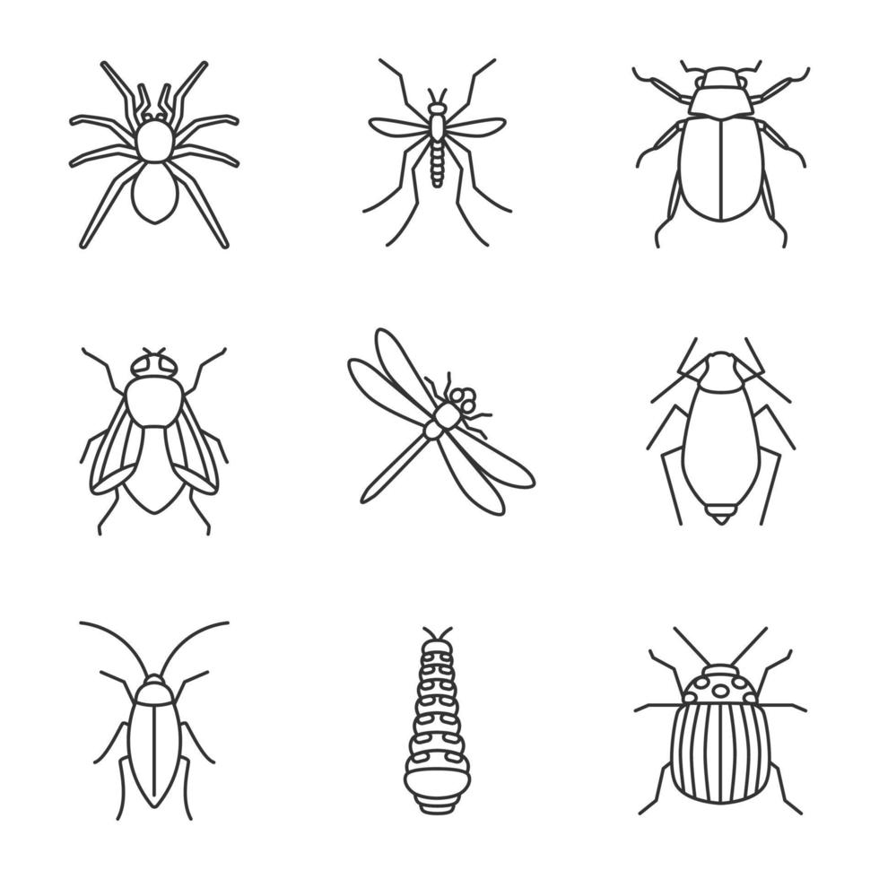 ensemble d'icônes linéaires. araignée, moustique, maybug, cafard, mouche domestique, libellule, puceron, chenille, punaise du colorado. symboles de contour de ligne mince. illustrations vectorielles isolées vecteur