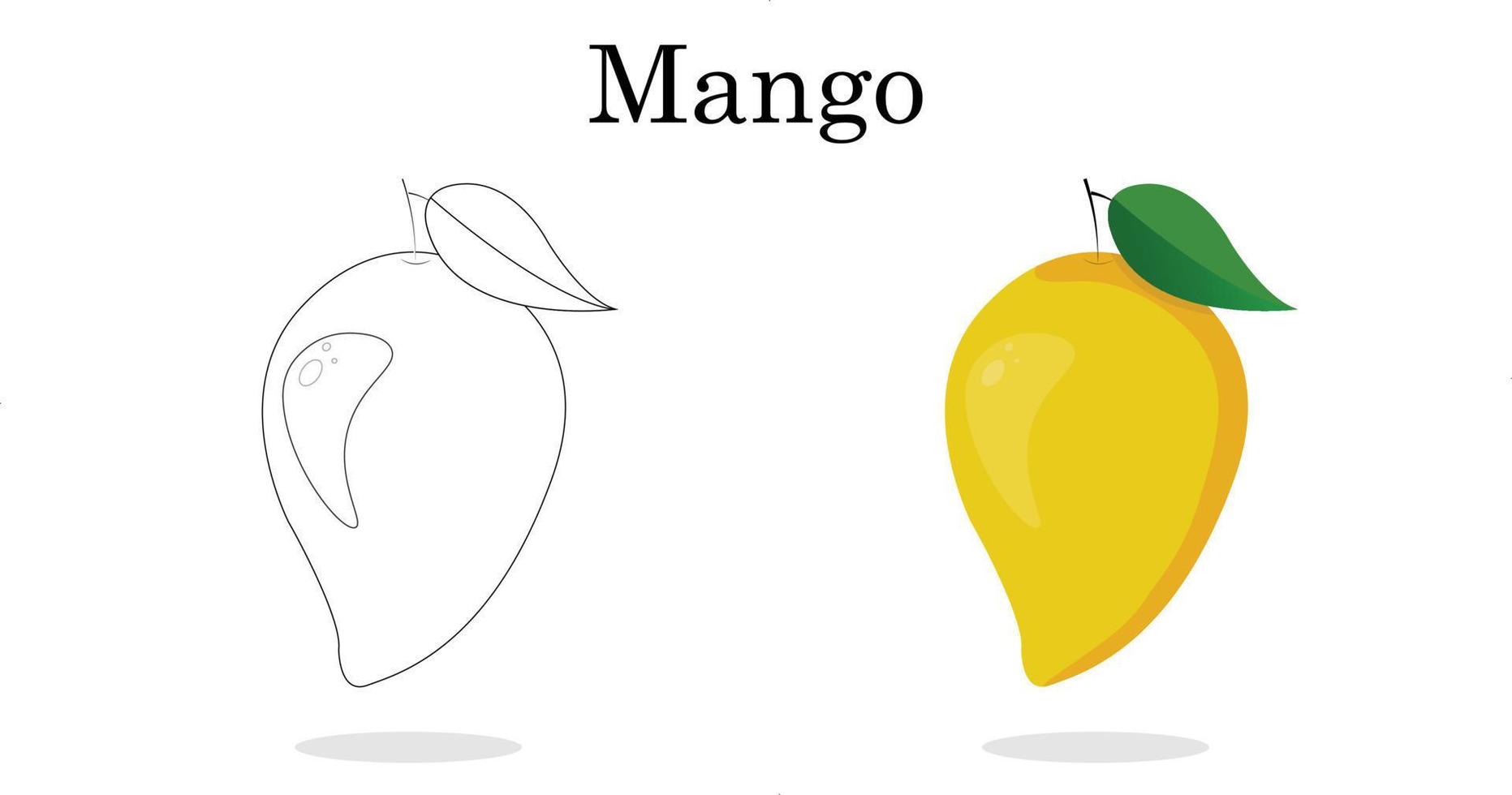 dessin au trait mangue couleur moins de fruits pour l'illustration vectorielle des enfants d'âge préscolaire. vecteur