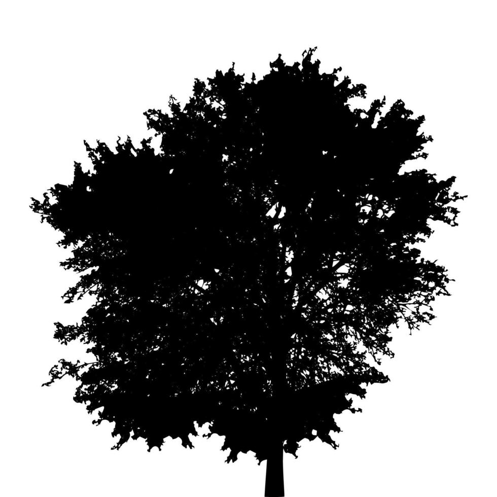 silhouette noire et blanche d'arbre à feuilles caduques, dont les branches se développent au gré du vent. illustration vectorielle. vecteur