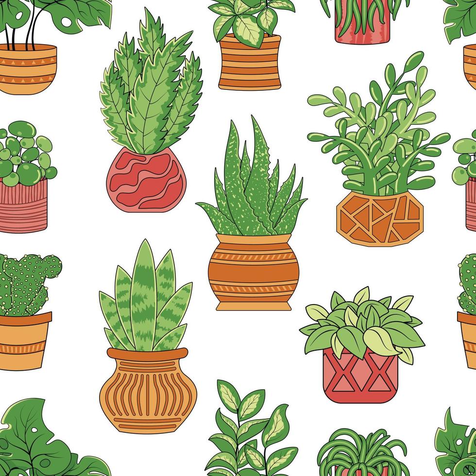 modèle sans couture avec des plantes d'intérieur ficus, chlorophytum, cactus et plantes grasses en pots vecteur