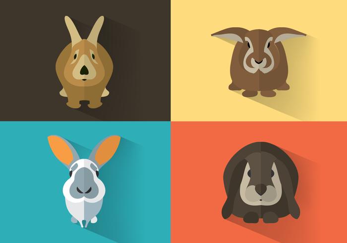 Bunny Vector Set