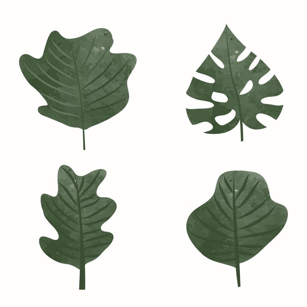 feuilles vertes aquarelles décoratives, palmier et monstera. branches d'arbres avec des feuilles, illustration vectorielle vecteur