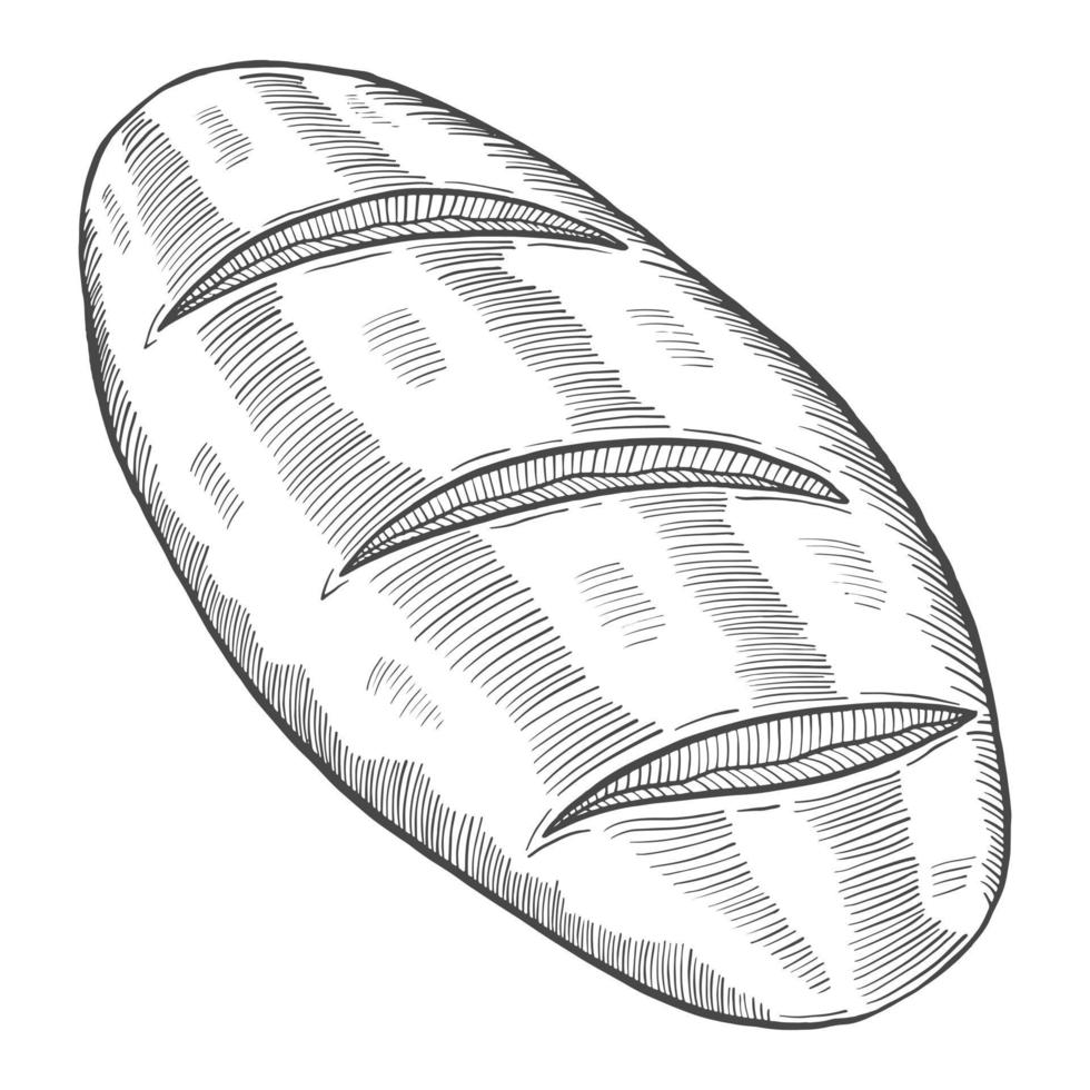 pain classique italie ou cuisine italienne cuisine traditionnelle doodle isolé croquis dessiné à la main avec style de contour vecteur