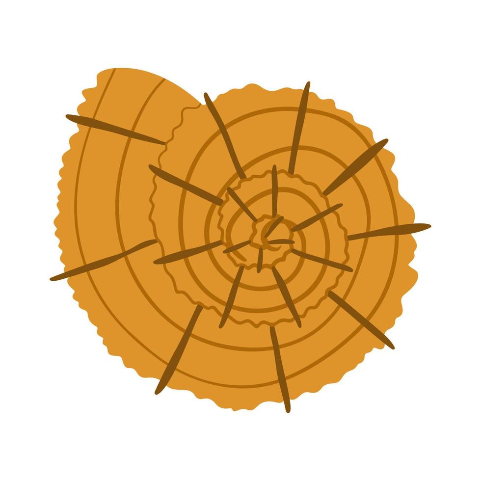 icône de coquillage coloré. le symbole de la palourde est isolé sur un fond blanc. illustration vectorielle. vecteur