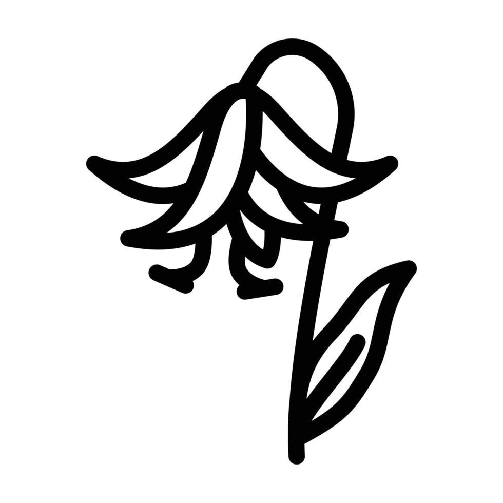 lilium fleur naturelle ligne icône illustration vectorielle vecteur