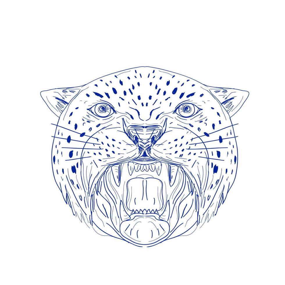 dessin de face de tête de jaguar en colère vecteur