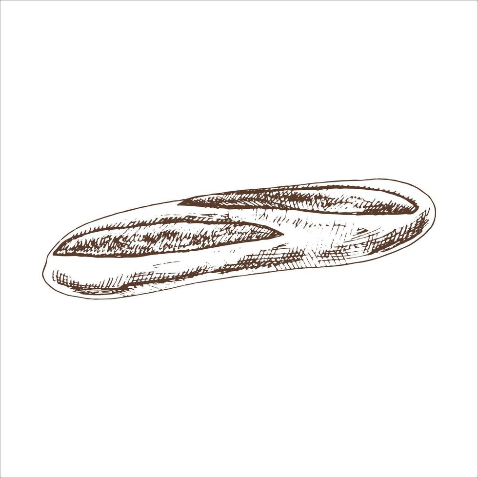 illustration vectorielle dessinée à la main de baguette. dessin de pain brun et blanc isolé sur fond blanc. icône de croquis et élément de boulangerie pour l'impression, le web, le mobile et l'infographie. vecteur