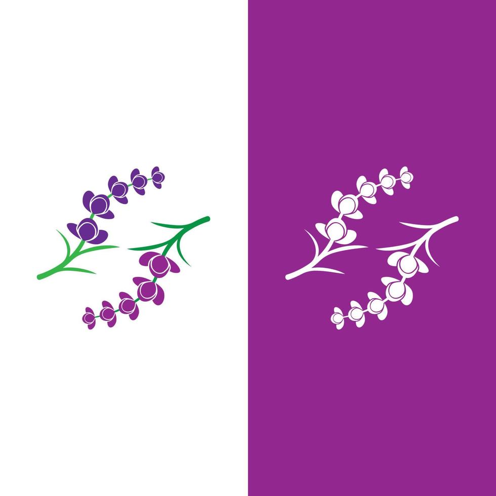 vecteur de logo fleur de lavande fraîche