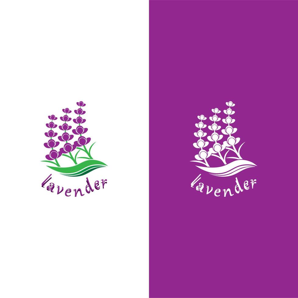 vecteur de logo fleur de lavande fraîche