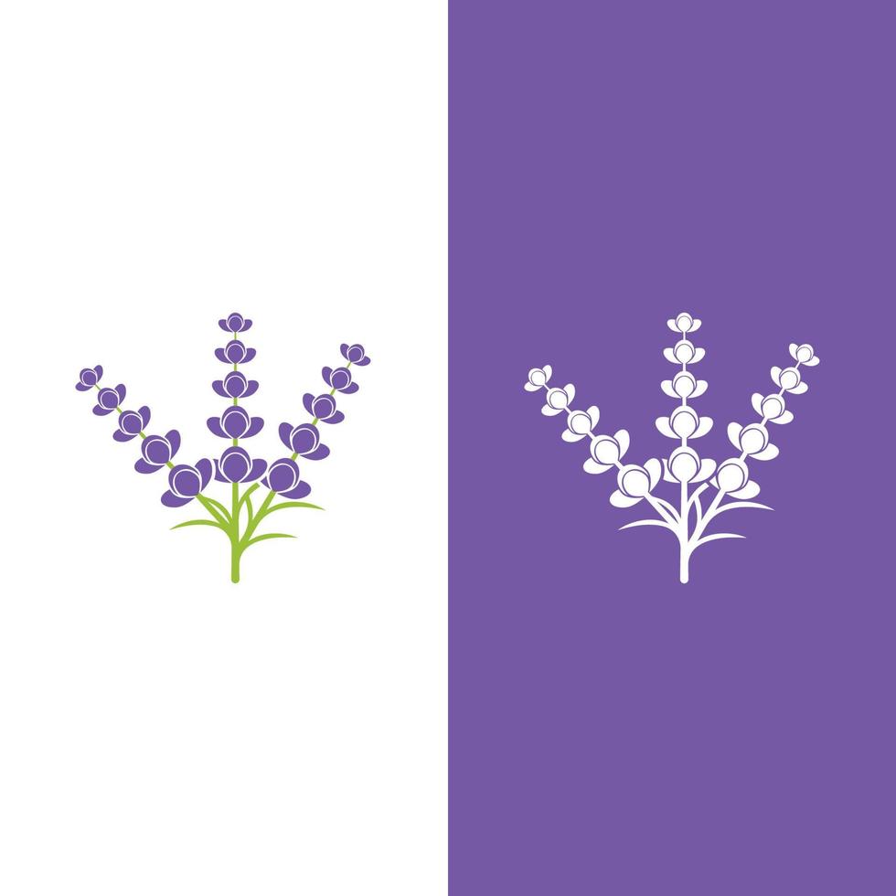 vecteur de logo fleur de lavande fraîche