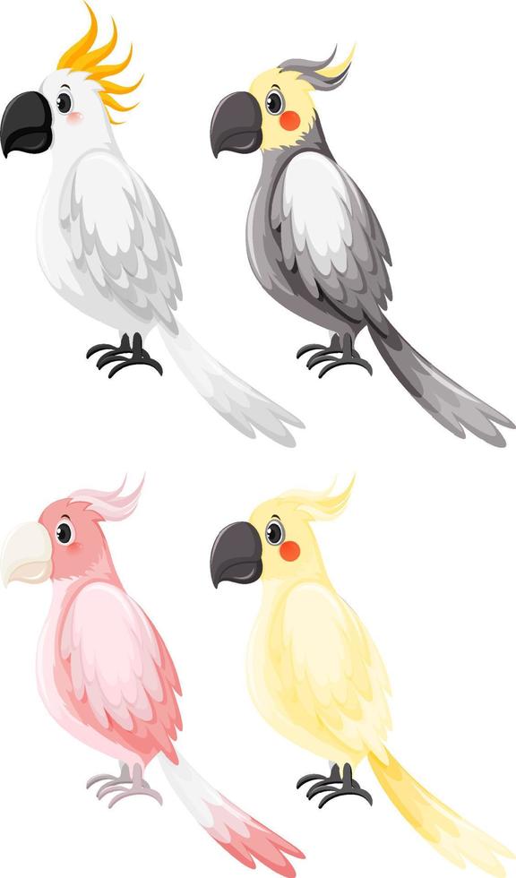 ensemble de différents oiseaux cockatiel en style cartoon vecteur