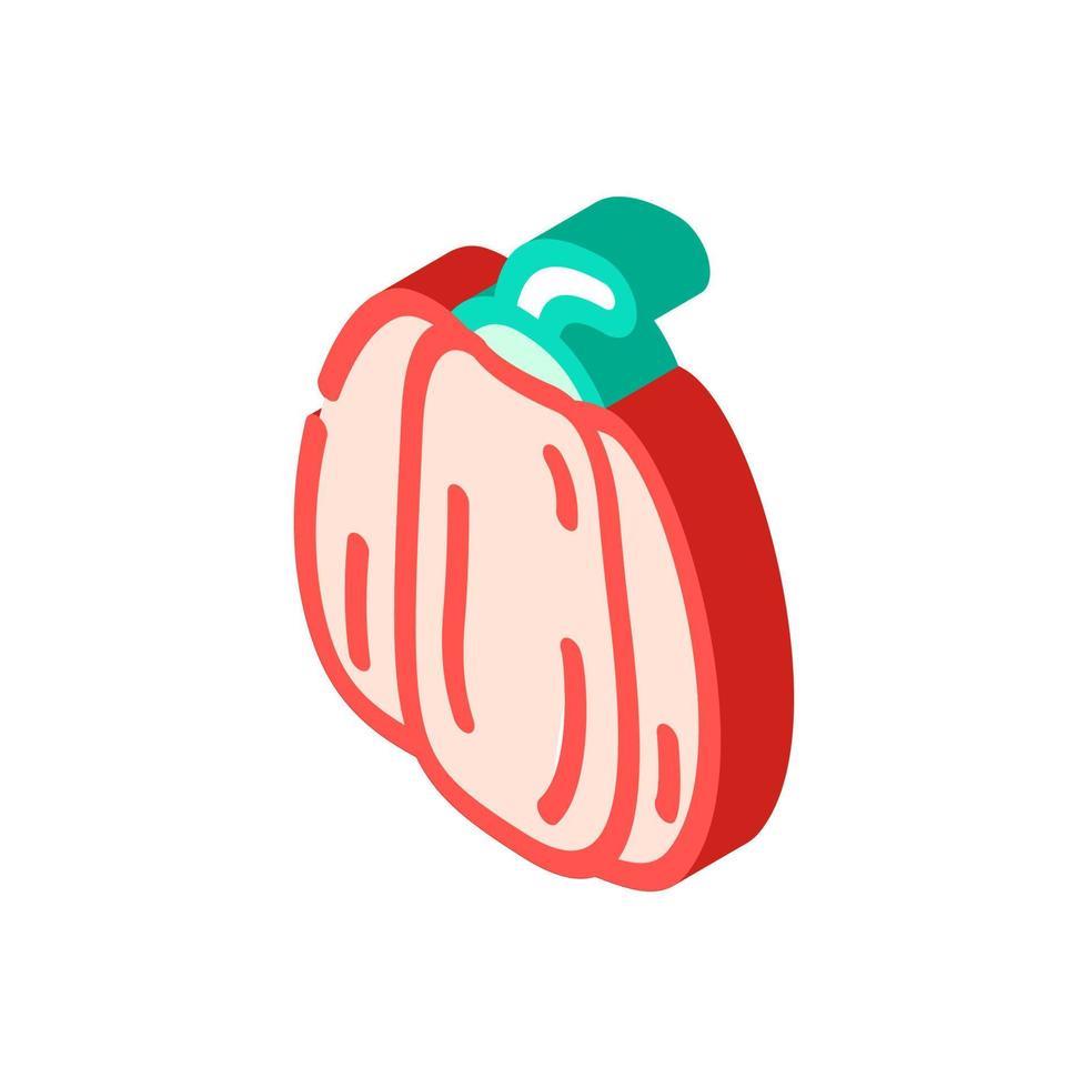 poivre paprika icône isométrique illustration vectorielle vecteur