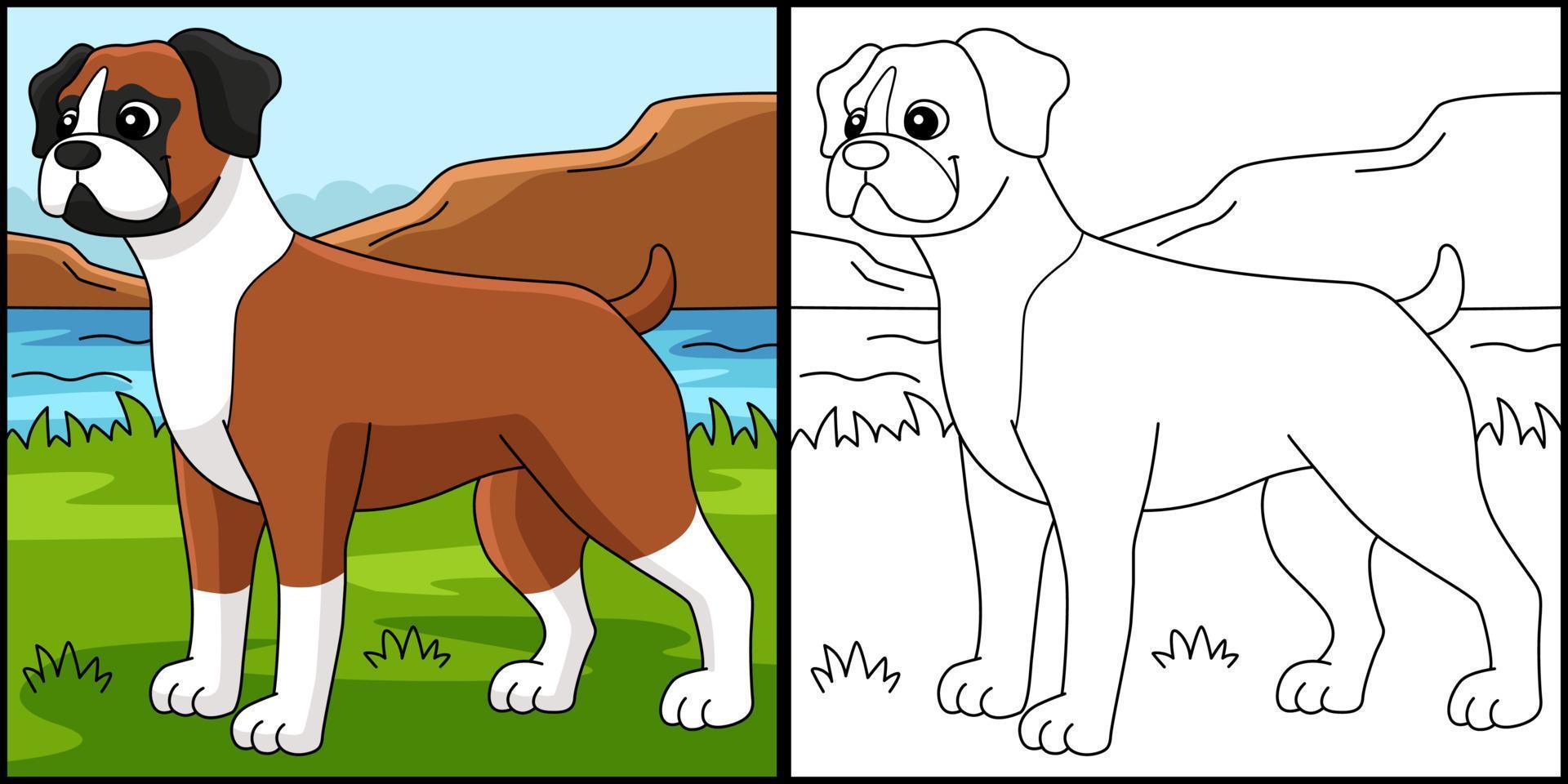 chien boxer coloriage illustration colorée vecteur