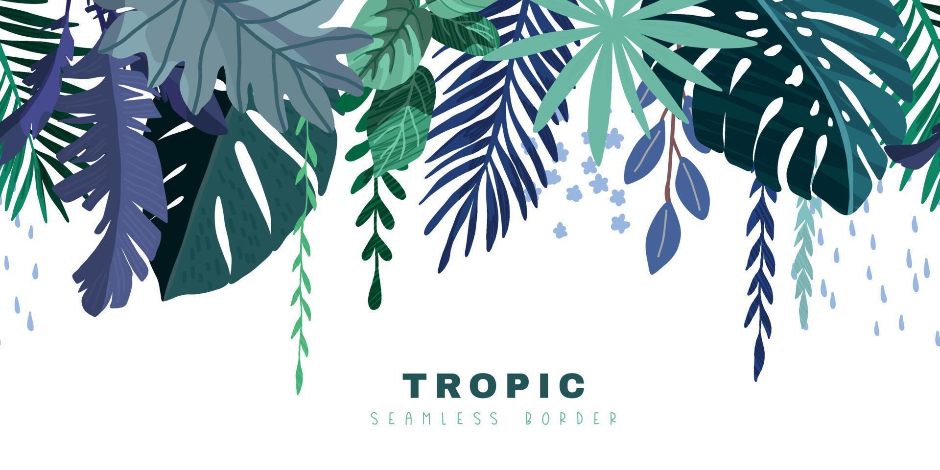 bordure transparente tropicale avec monstera bleu et feuilles de palmier vecteur