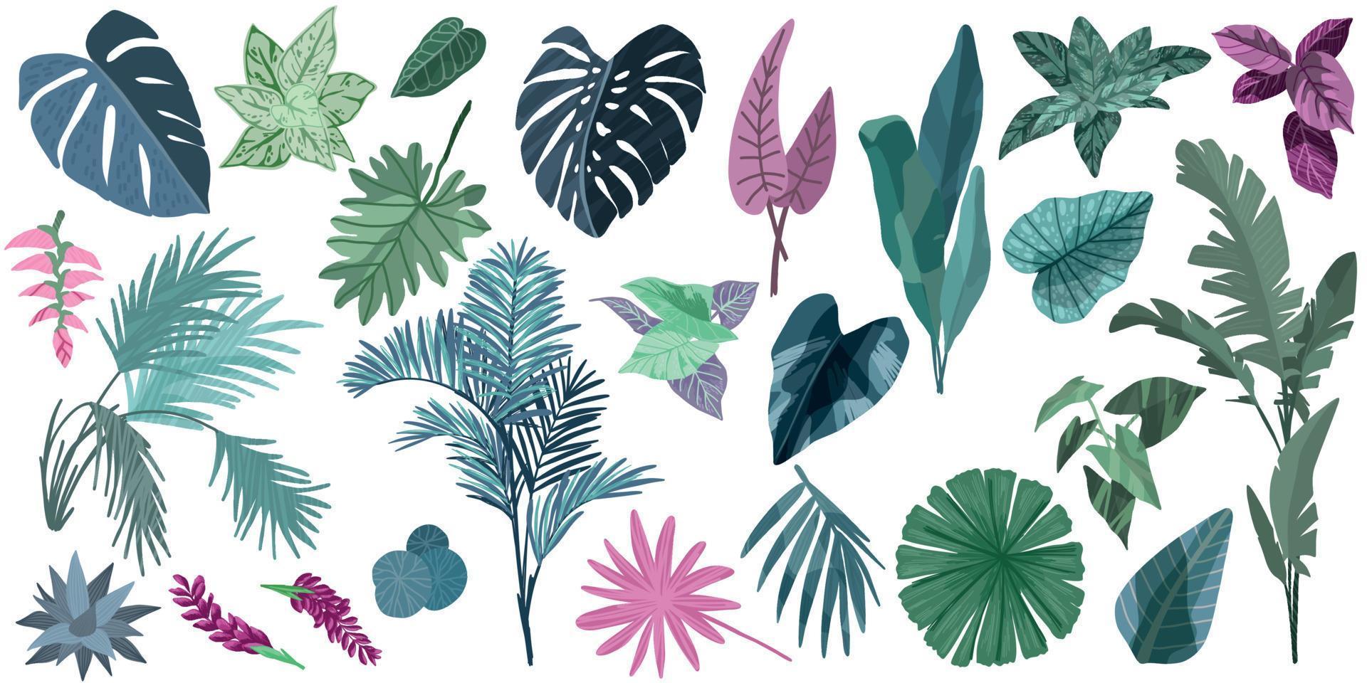 collection de feuilles tropicales, ensemble de vecteurs dessinés à la main vecteur