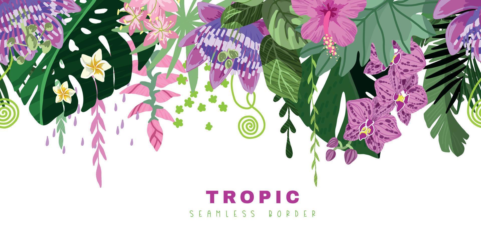 bordure tropicale transparente, feuilles de monstera vertes et fleurs tropicales roses vecteur