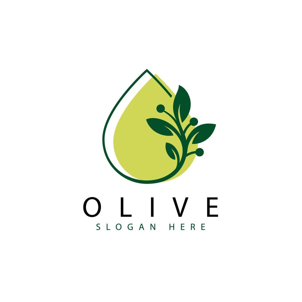 logo olive fraîche, logo feuille d'eau, logo olive verte vecteur