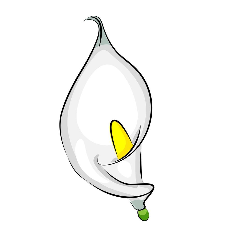 fleur de calla, dans un style linéaire de dessin animé, impression textile, élément de conception, illustration vectorielle vecteur