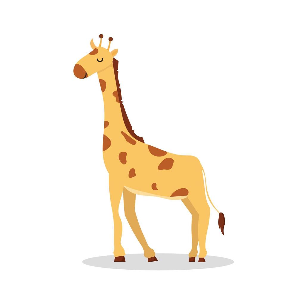 dessin animé girafe isolé sur fond blanc vecteur