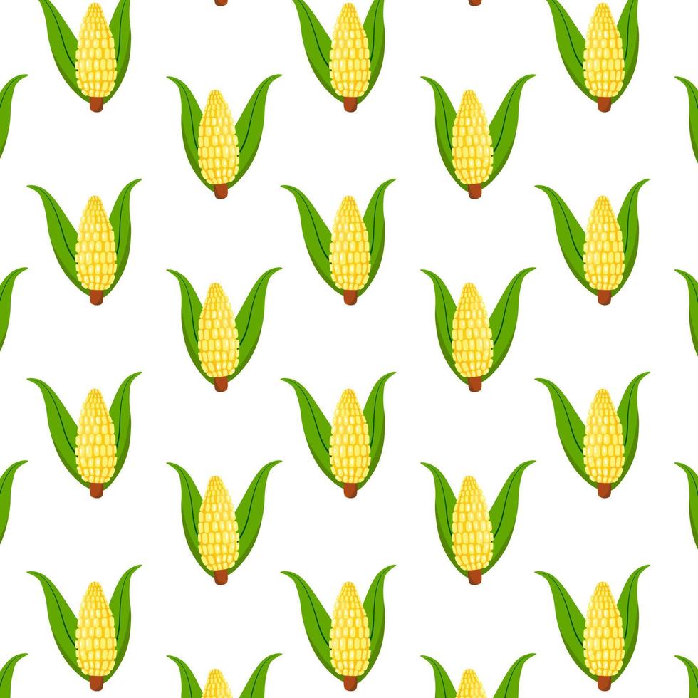 modèle vectorielle continue avec une plante d'épi de maïs isolée sur fond blanc. modèle d'impression textile de dessin animé. légume alimentaire, illustration de l'agriculture agricole. vecteur