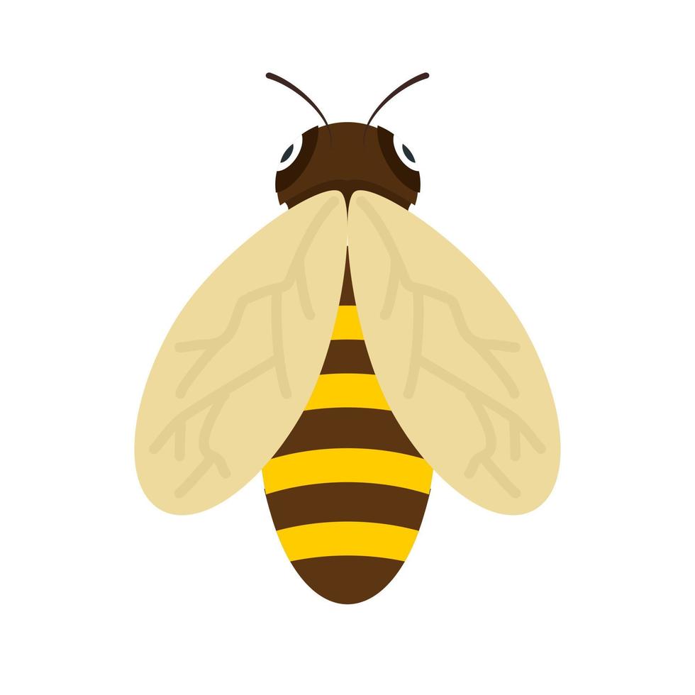 icône plate multicolore abeille vecteur