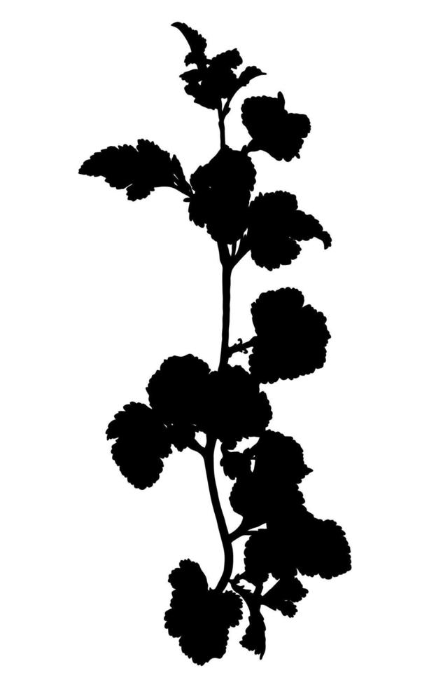 silhouette de brindille avec des feuilles isolées sur fond blanc. branche noire. illustration vectorielle. vecteur