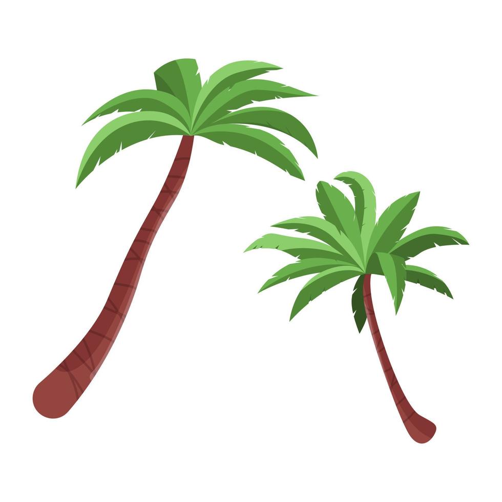 palmiers isolés sur fond blanc. plantes tropicales aux feuilles vertes. illustration vectorielle plane. vecteur