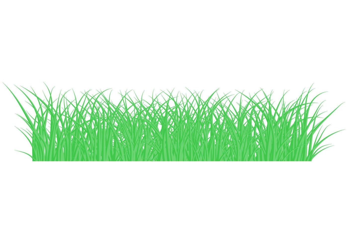 motif vectoriel de bordure verte belle prairie d'herbe. pelouse de champ de plantes de printemps ou d'été. fond d'herbe. illustration vectorielle.